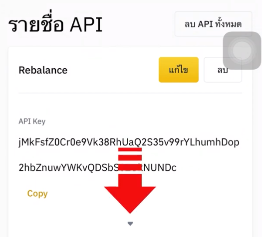 API Key